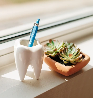 Tooth-shaped pen holder with blue pen on windowsill next to succulent plant.